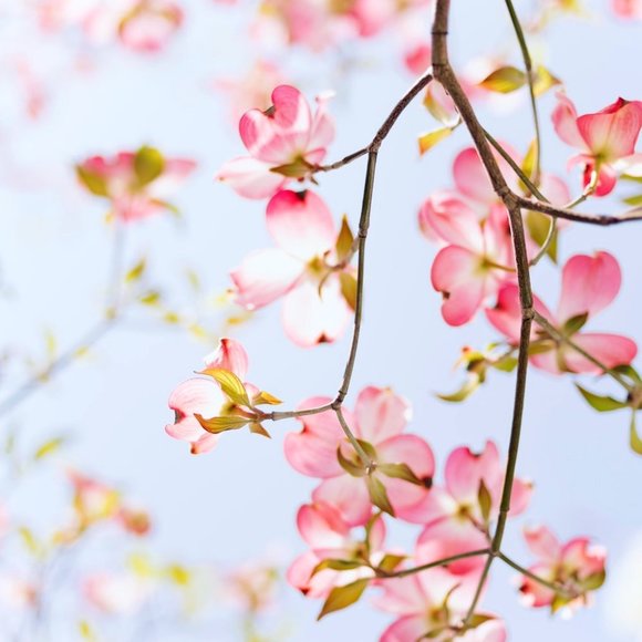 Hii!!Check out my clothes ;) - Picture 1 of 1